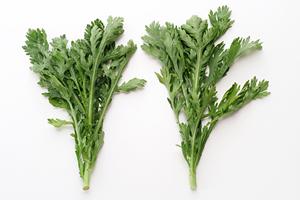 新商品開発にシーズニングの活用を