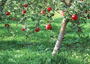 世界のビール博物館 大名古屋ビルヂング店 – ビールと料理を楽しむ特別な空間