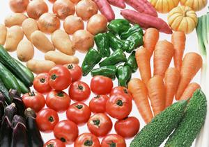 魚介の旨みと健康にこだわる!家庭で手軽に楽しむ あんこう鍋 のレシピとコツ