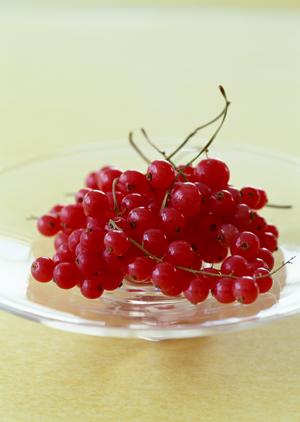 新潟県小千谷の美味しい伝統の味