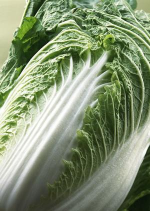 東京水タバコカフェの恵比寿シーシャ