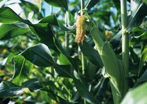 世界のビール博物館 東京スカイツリータウン・ソラマチ店: 多彩なビールと絶品料理が楽しめるビアレストラン