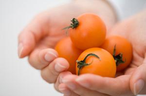 個室宴会が楽しめる居酒屋「とと幸」